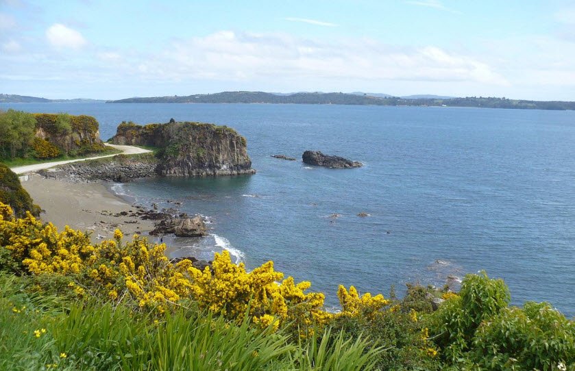 Chiloé National Park, Chiloé Island, Los Lagos Region, Chile